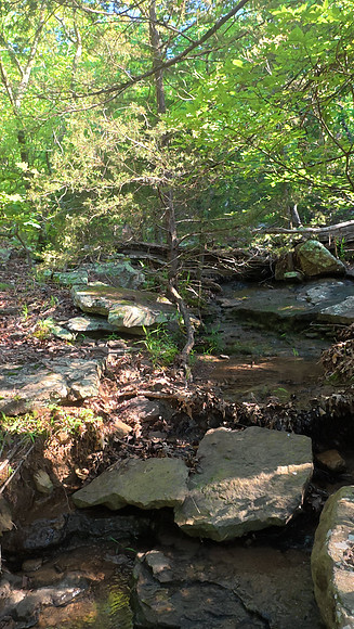 Devil's Den Yellow Rock 20250513 057