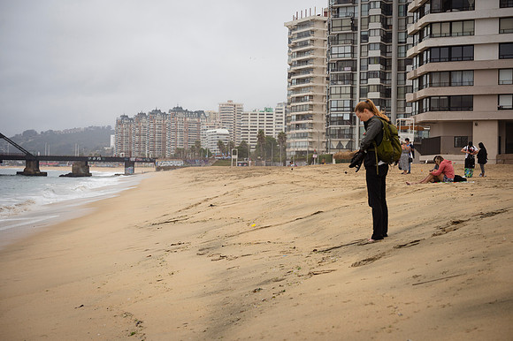 Viña del Mar 20240126 172