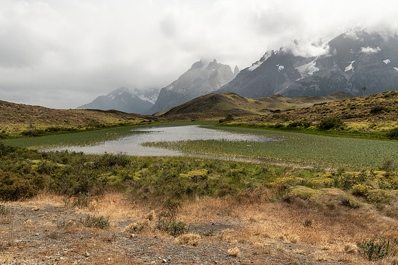 Torres de Paine 20240130 370