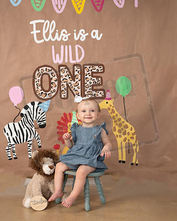 Ellis Gray 09212026 503