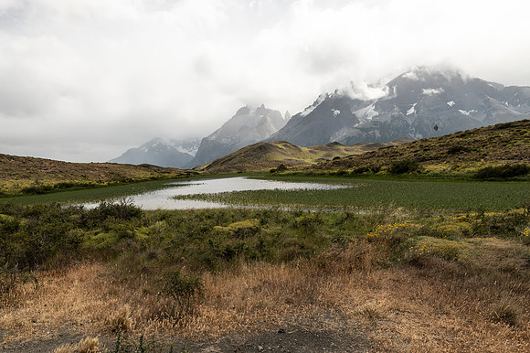 Torres de Paine 20240130 371