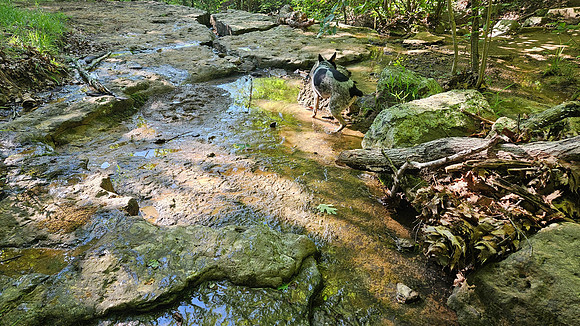 Devil's Den Yellow Rock 20250513 050