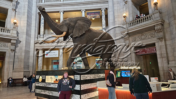 Washington DC 20250303 470