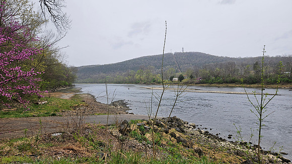 Bull Shoals 20250328 184