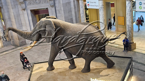 Washington DC 20250303 532