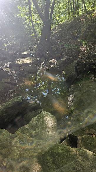 Devil's Den Yellow Rock 20250513 071