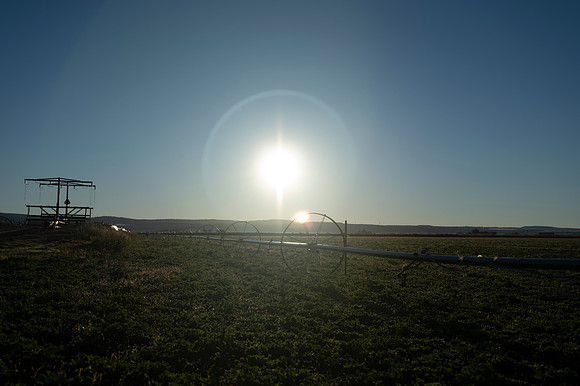 _DSC7093