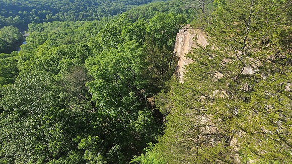 Devil's Den Yellow Rock 20250513 058