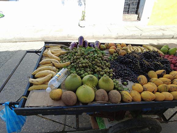 Cartagena 20230729 2480