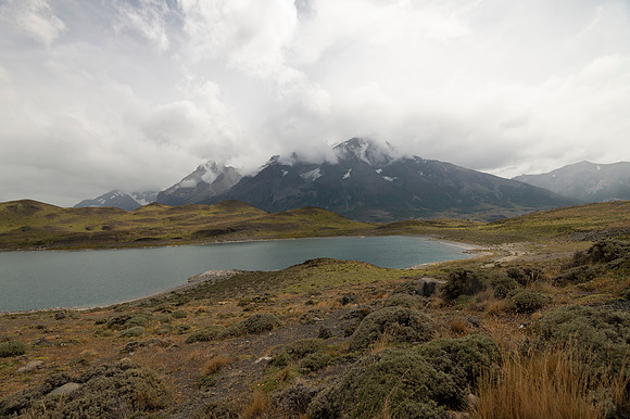 Torres de Paine 20240130 361