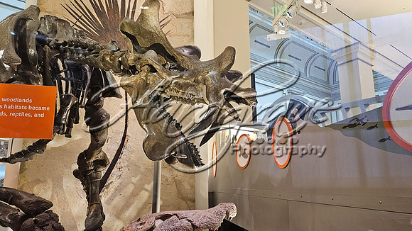 Washington DC 20250303 478