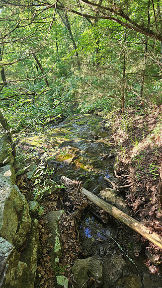 Devil's Den Yellow Rock 20250513 084