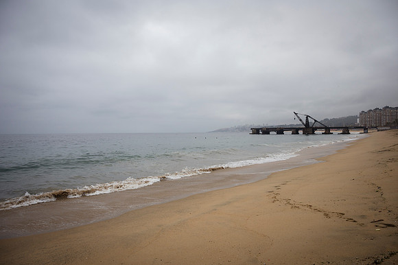 Viña del Mar 20240126 174