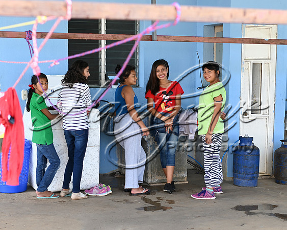 HPY_0659