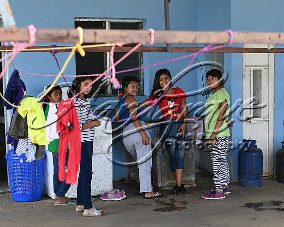 HPY_0658