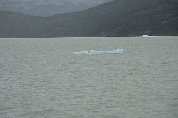Lago Gray 20240131 391