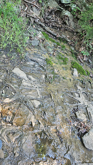 Devil's Den Yellow Rock 20250513 079