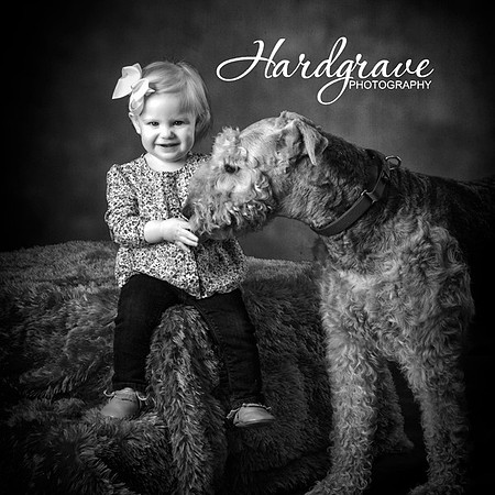 Kids n Dogs Minis