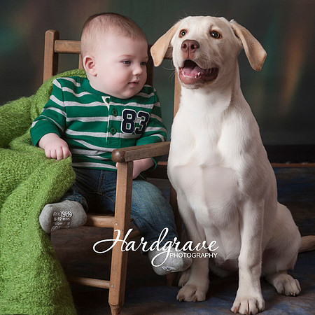 Kids n Dogs Minis