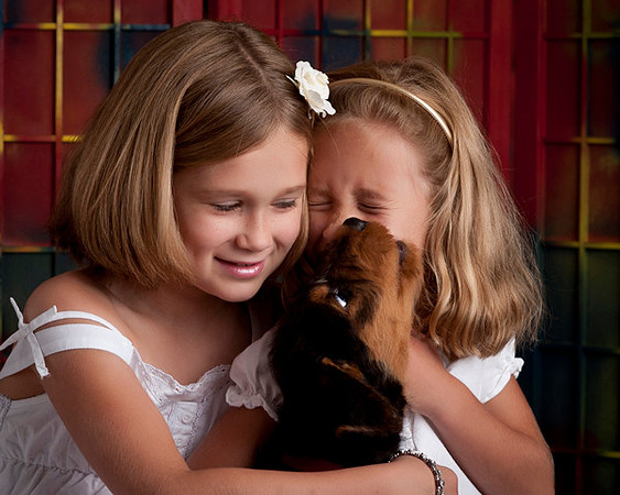 Kids n Dogs Minis