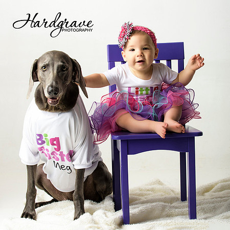 Kids n Dogs Minis