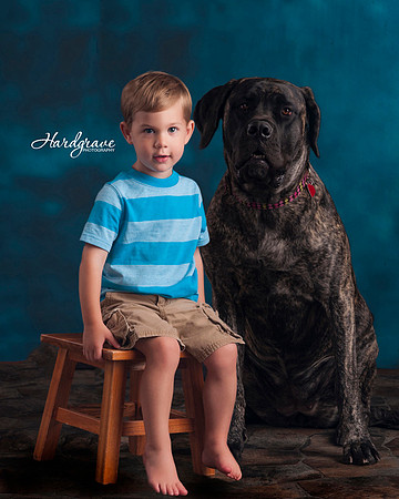 Kids n Dogs Minis