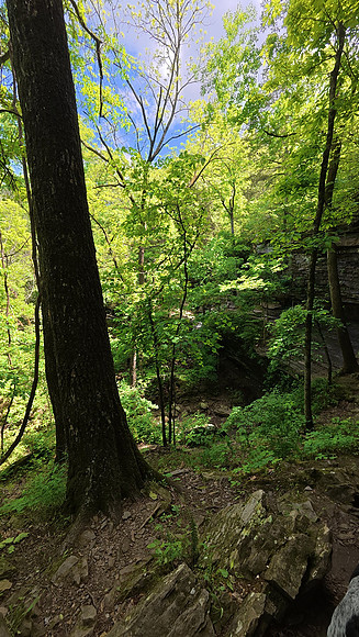 Devil's Den 20250512 109