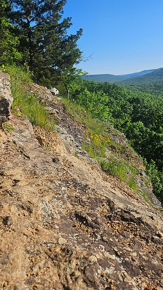 Devil's Den Yellow Rock 20250513 066