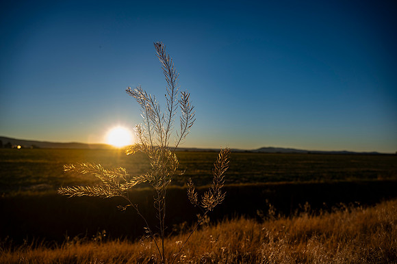 _DSC7091