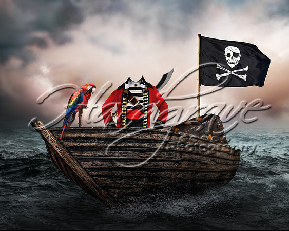 1-PirateShipDigitalBackdrop