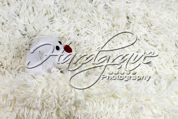 1354OhBabyMedia