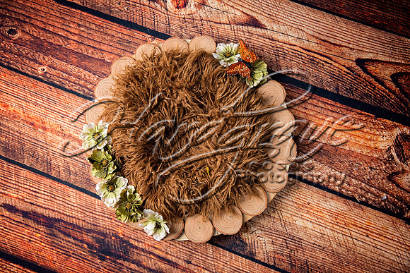 AHM_MG_4981-Edit
