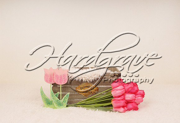 AHMPinkTulips