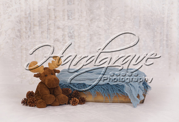 AHMStudio Christmas8