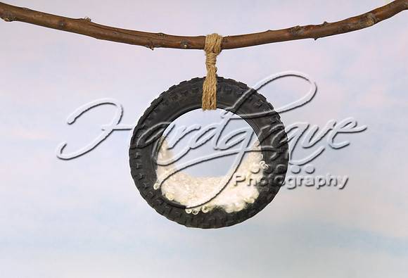 AHMStudio TireSwing