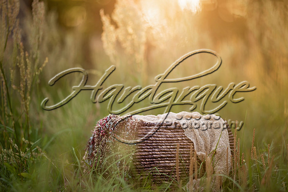 AmandasPhotoDesigns IMG_3859