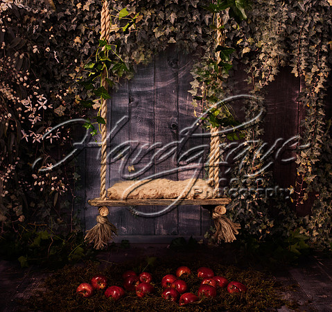 apple-swing-ivy-covered-wall-download