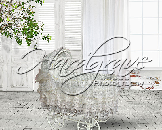 Baby Buggy