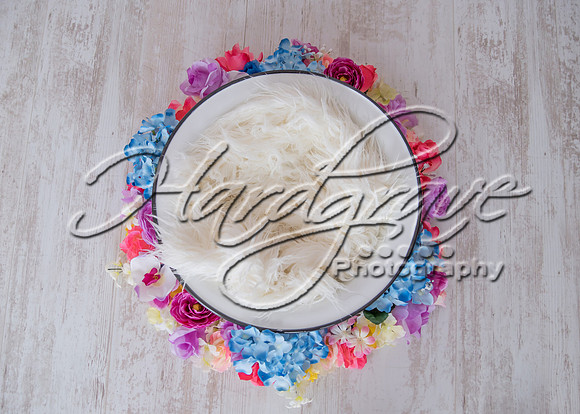 Backdrop Anna Zintek