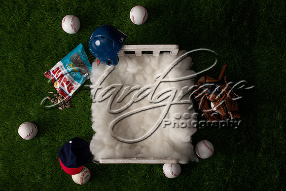 baseball2backdrop