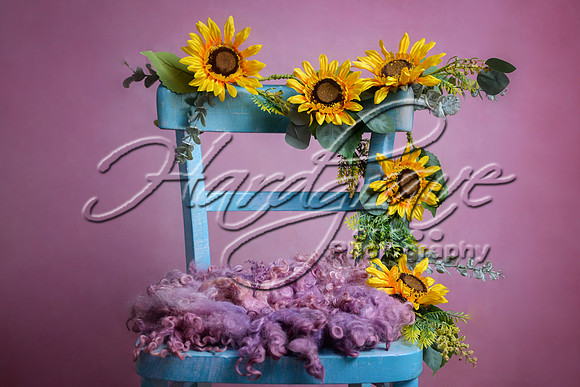 Big Bundle nb 323