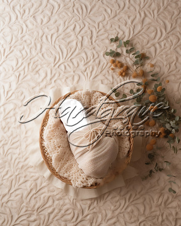 Blanket Oval 8b