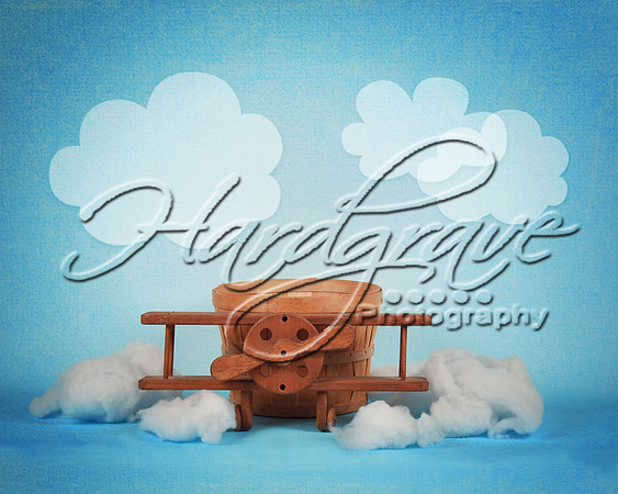 blue_airplane_basket_01