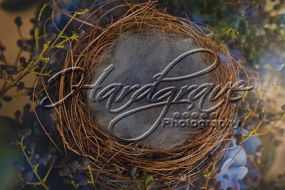 blue_nest_bluewool