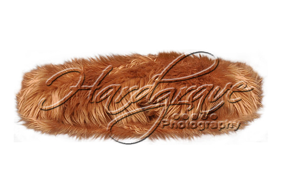 brown_fur