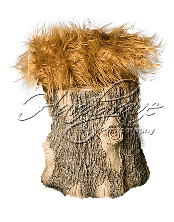 brown fur stump