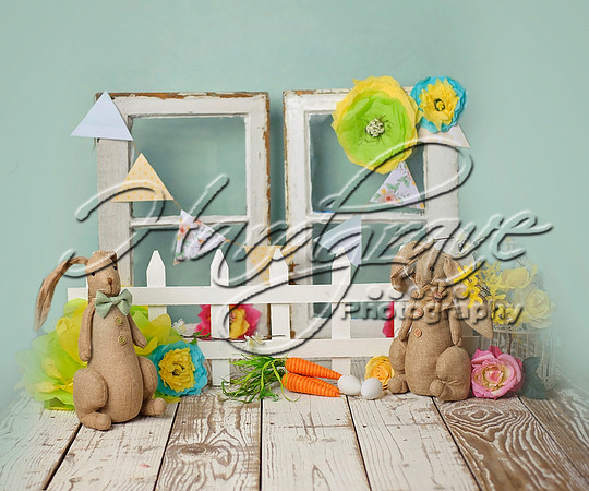 Digitalbackdrop