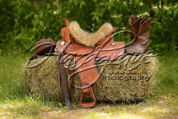 DoriEdmonds_saddle2