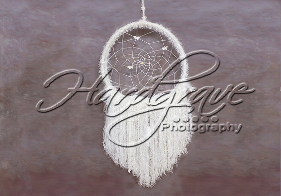 DreamCatcher