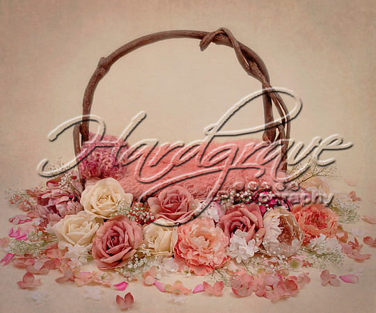 Edith Digital Art Backdrop78